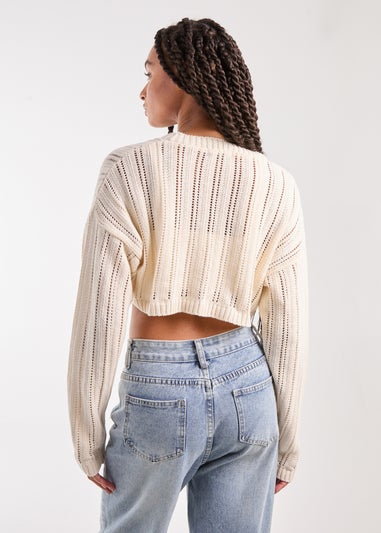 Pink Vanilla Ivory Crochet Super Cropped Jumper