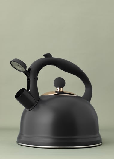 Typhoon Otto Stovetop Kettle (2ltr)