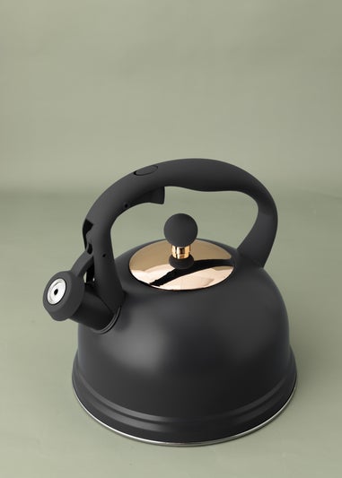 Typhoon Otto Stovetop Kettle (2ltr)