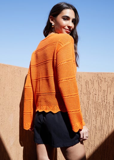 Threadbare Orange Melbourne Pointelle Crochet Jumper