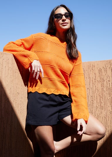 Threadbare Orange Melbourne Pointelle Crochet Jumper