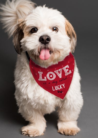 Personalised Memento Company Red Love is... Dog Bandana