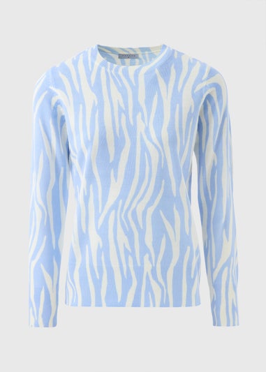 Blue Soft Zebra Print Jumper