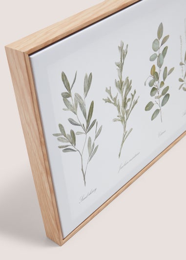 Herb Wall Art