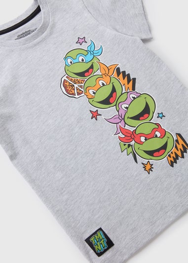 Ninja Turtles Grey T-Shirt (5-13yrs)