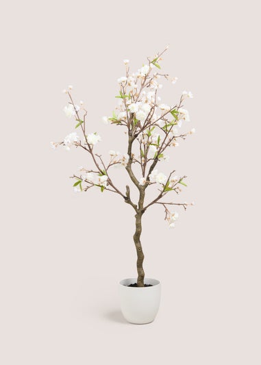 Cherry Blossom Tree