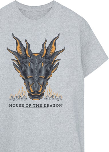 Game Of Thrones House Of The Dragon Flames Heather Grey T-Shirt