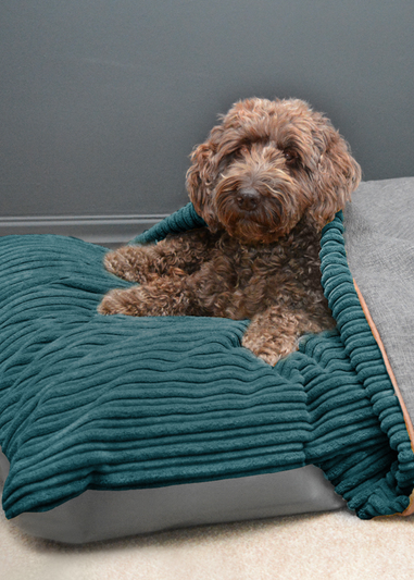 rucomfy Jumbo Cord Burrower Large Teal Pet Bed