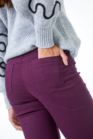 Roman Plum 31'' Denim Stretch Jegging