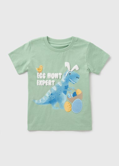 Boys Green Easter Dino T-Shirt (1-7yrs)