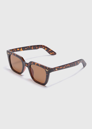 Brown Tortoise Shell Nomad Sunglasses