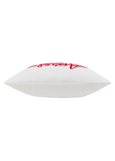 furn. Apres Ski Filled Cushion (45cm x 45cm)