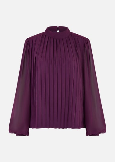 Mela Plum Pleated Long Sleeve Top With High Neck