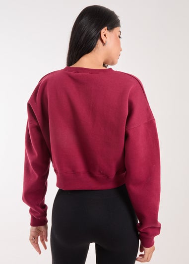 Pink Vanilla Burgundy Boston Silk Detail Crop Sweater