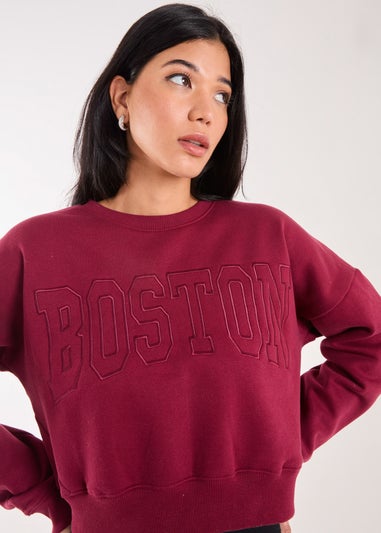 Pink Vanilla Burgundy Boston Silk Detail Crop Sweater