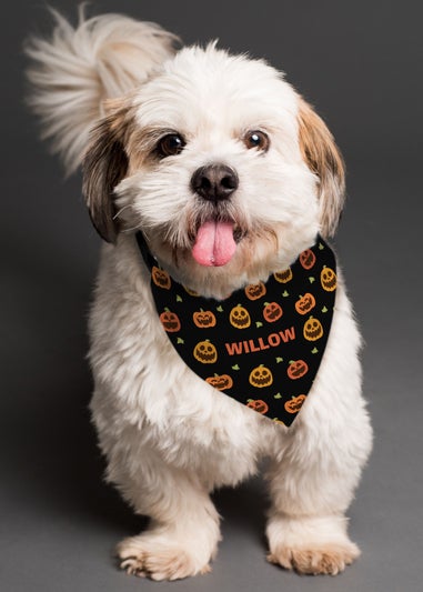 Personalised Memento Company Black Pumpkin Patch Dog Bandana