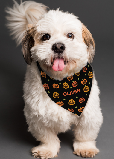 Personalised Memento Company Black Pumpkin Patch Dog Bandana