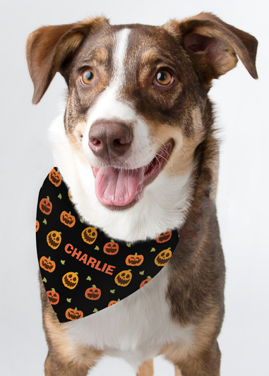 Personalised Memento Company Black Pumpkin Patch Dog Bandana