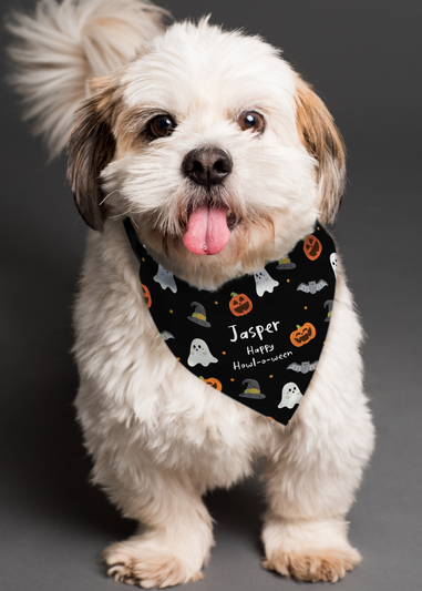 Personalised Memento Company Black Halloween Dog Bandana