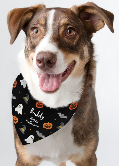 Personalised Memento Company Black Halloween Dog Bandana