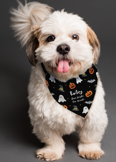 Personalised Memento Company Black Halloween Dog Bandana