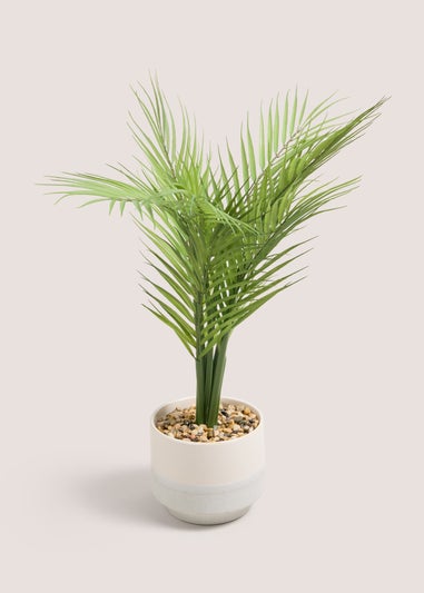 Palm Leaf In Reactive Pot