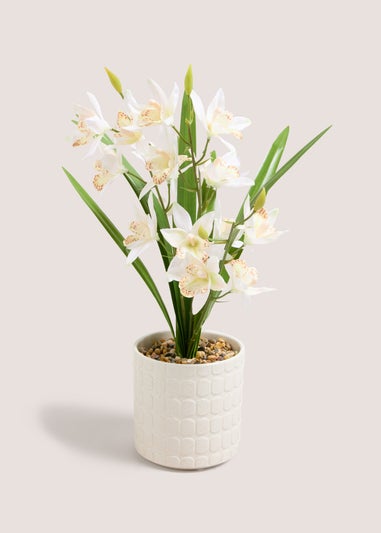 Cream Flowers In Cream Pot