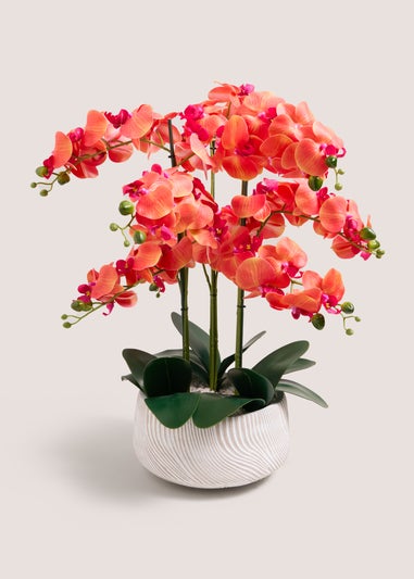 Orange Orchid In Ceramic Pot