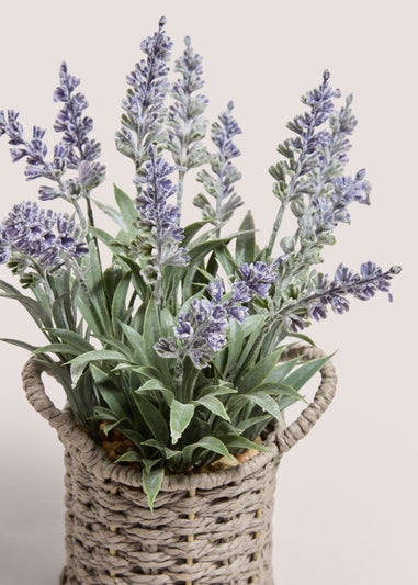 Lavender In Mini Basket