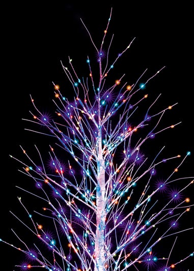 Premier Decorations Twinkling Birch Tree with 300 Rainbow LEDs 120cm