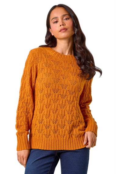 Roman Rust Petite Crochet Knit Jumper