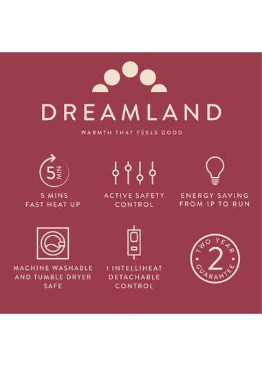 Dreamland IntelliHeat Teal Throw