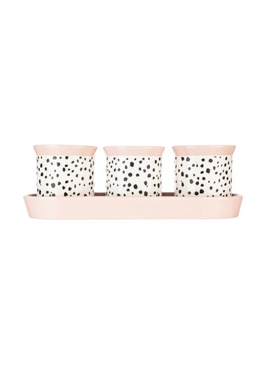 Eleanor Bowmer Dalmation Herb Pots Set of 3