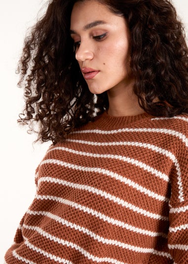 Blue Vanilla Brown Textured Stripe Jumper