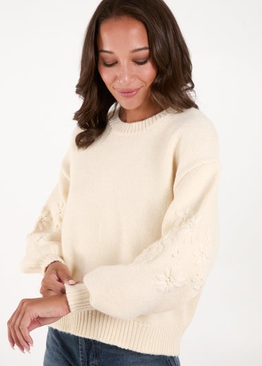 Blue Vanilla Cream Embroidered Sleeve Jumper