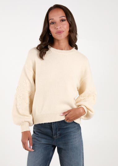 Blue Vanilla Cream Embroidered Sleeve Jumper