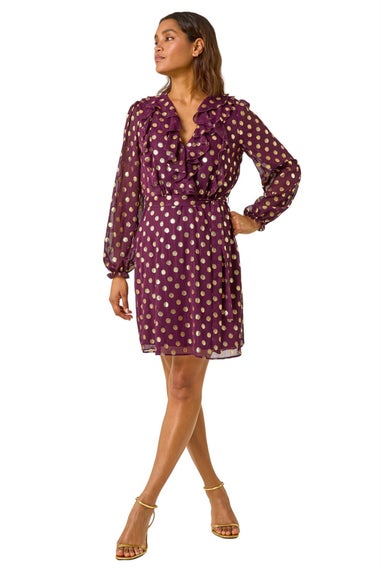 Roman Burgundy Foil Print V-Neck Fit & Flare Ruffle Dress
