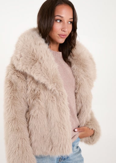 Blue Vanilla Stone Full Fur Short Coat