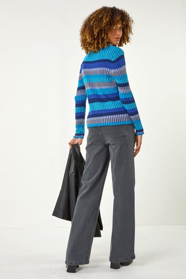 Roman Blue Roll Neck Stripe Print Ribbed Knit Jumper