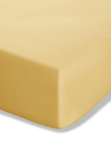 Catherine Lansfield Ochre Easy Iron Percale Combed Extra Deep Fitted Sheet