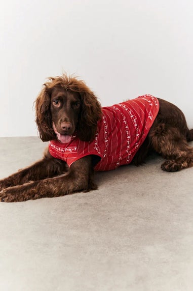 In The Style Red Dog Fairisle Print Pyjama