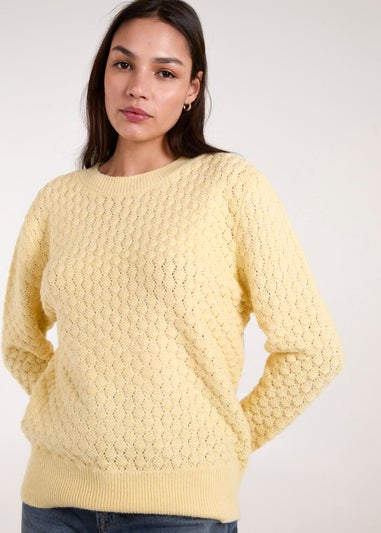 Blue Vanilla Lemon Textured Knit Jumper