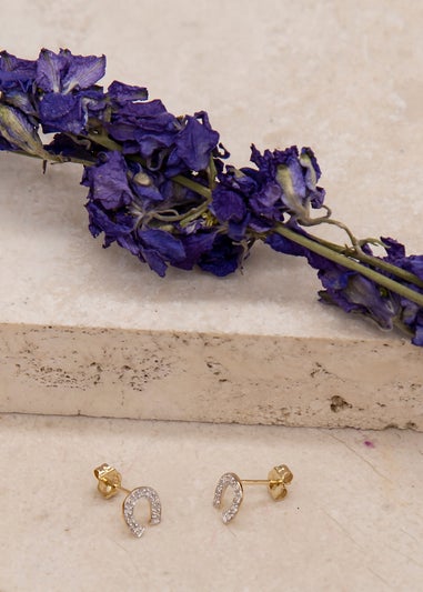 Golden Moments 9ct Yellow Gold CZ Horseshoe Stud Earrings