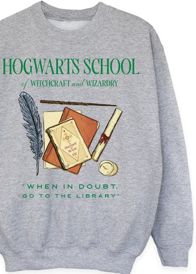 Harry Potter Grey Hogwarts School Kids Heather Sweatshirt (3-13 Years)