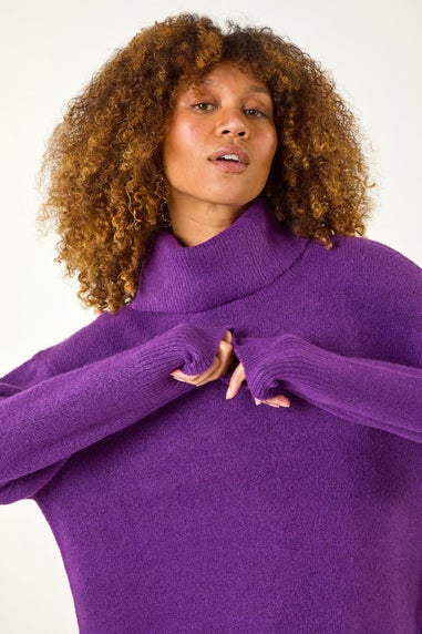Roman Purple Roll Neck Knit Jumper
