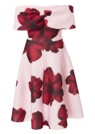 Quiz Pink Curve Floral Skater Dress