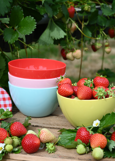 Summerhouse by Navigate Strawberries & Cream (Set of 4 Bowls)