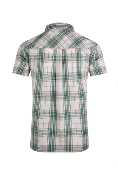 Weird Fish Green Judd Short Sleeve Check Shirt