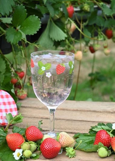 Summerhouse by Navigate Strawberries & Cream Decorated Wine Glasses (Set of 4)