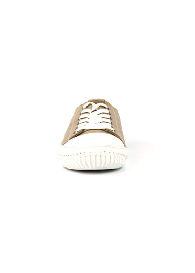 Lunar Stone Truffle II Plimsoll